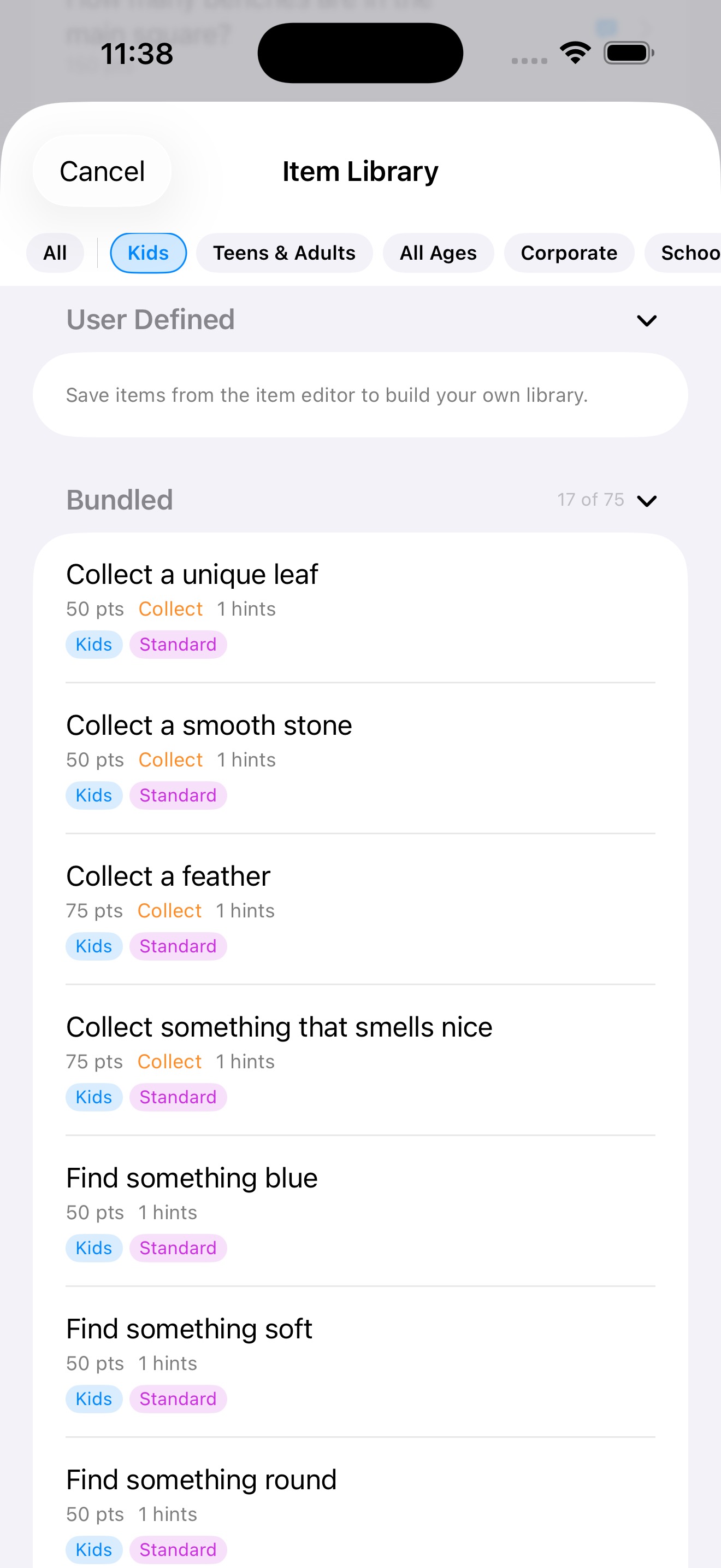 Item Library screen